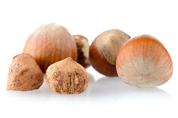 Image showing Fresh hazelnuts 