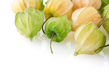 Image showing Physalis fruit 