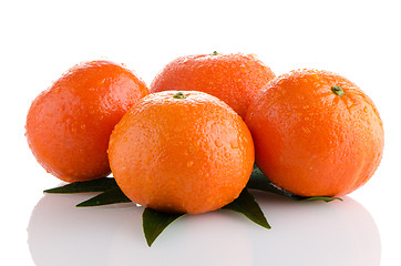 Image showing Tangerines