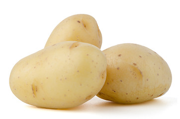 Image showing New potatoes