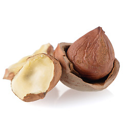 Image showing Tasty hazelnuts