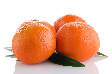 Image showing Ripe tangerines or mandarin