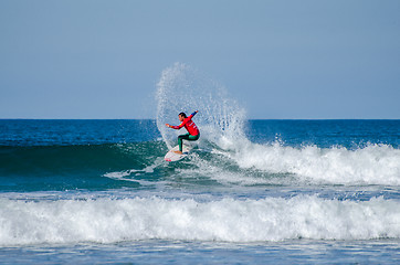 Image showing Vasco Ribeiro