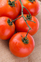 Image showing Cherry tomatoes vine