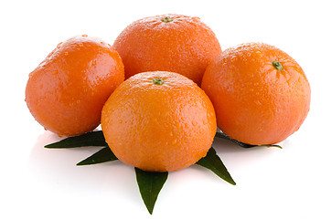 Image showing Fresh orange mandarins