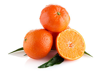 Image showing Tangerines