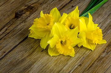 Image showing Jonquil flowers