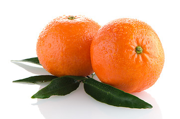 Image showing Fresh orange mandarins