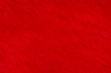 Image showing Red  fur