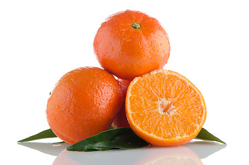 Image showing Fresh orange mandarins