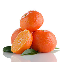 Image showing Tangerines