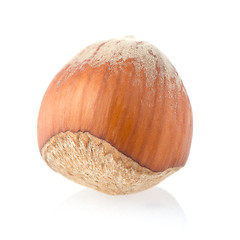 Image showing Hazelnut