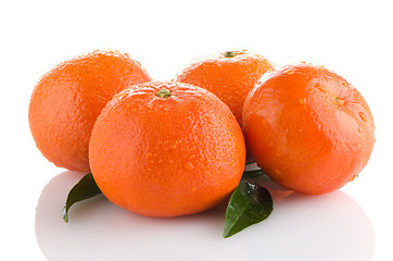 Image showing Fresh orange mandarins