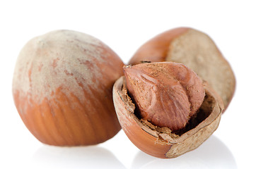 Image showing Tasty hazelnuts