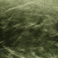 Image showing Green leather