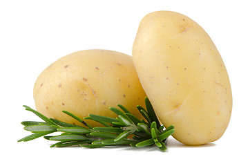 Image showing New potato and green parsley