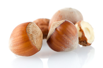 Image showing Three hazelnuts