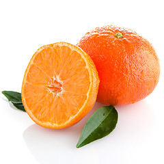 Image showing Tangerines