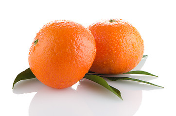 Image showing Fresh orange mandarins