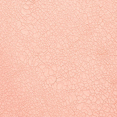 Image showing Pink leather texture