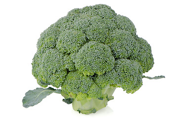 Image showing Broccoli