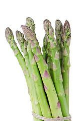 Image showing Bunch of green asparagus
