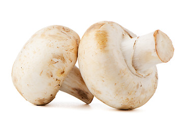 Image showing Champignon mushrooms