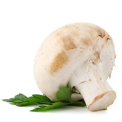 Image showing Champignon mushroom and parsley leaves 