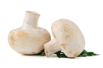 Image showing Champignon mushrooms and parsley leaves 