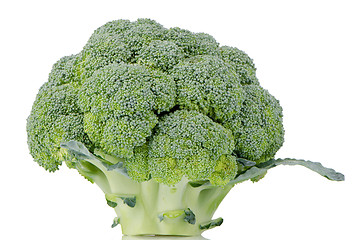 Image showing Broccoli