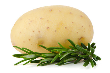 Image showing New potato