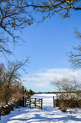 Image showing Open gate to field