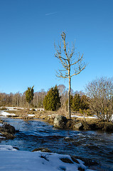 Image showing Early springtime landscape