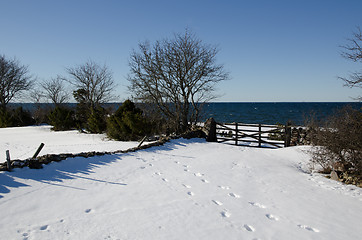 Image showing Old wooden gate 