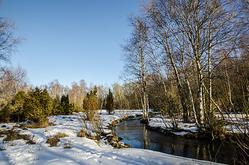 Image showing Brook in early springtime