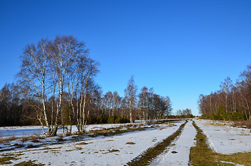 Image showing Melting tracks