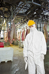 Image showing Butcher