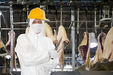 Image showing Industrial butcher