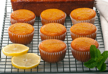 Image showing Cupcakes