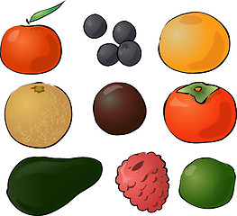 Image showing Fruits illustration