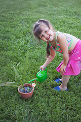 Image showing Little girl watering the plants