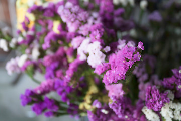 Image showing Focus fresh purple statice flowers