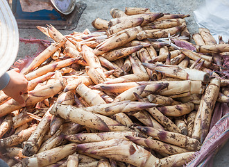 Image showing Lots of bamboo shoot bargaining in local market