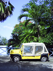 Image showing island vehicle  flat tires by palm trees Bequia St. Vincent and 