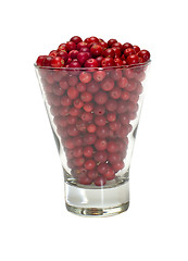 Image showing Cowberries.