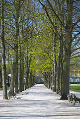 Image showing Spring in Bonn