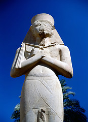 Image showing Ramesses II