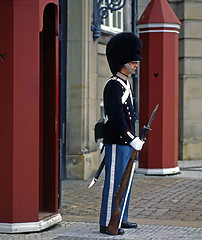 Image showing Royal Guard