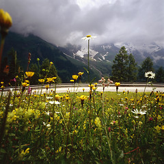 Image showing Alpine road