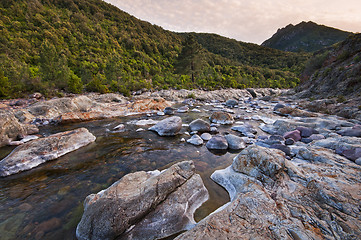 Image showing River in Corsica